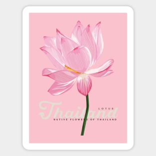 Lotus Native Flowers of Thailand Sticker